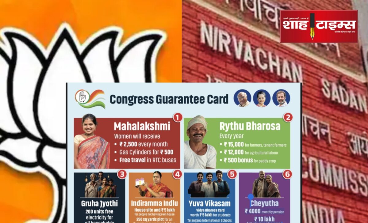 InShot_20240412_083440920