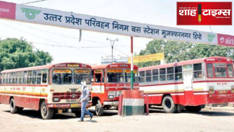 InShot_20240427_180400176