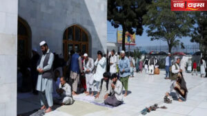 InShot_20240430_150150695