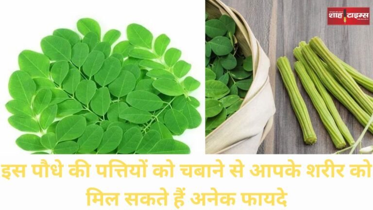 Moringa