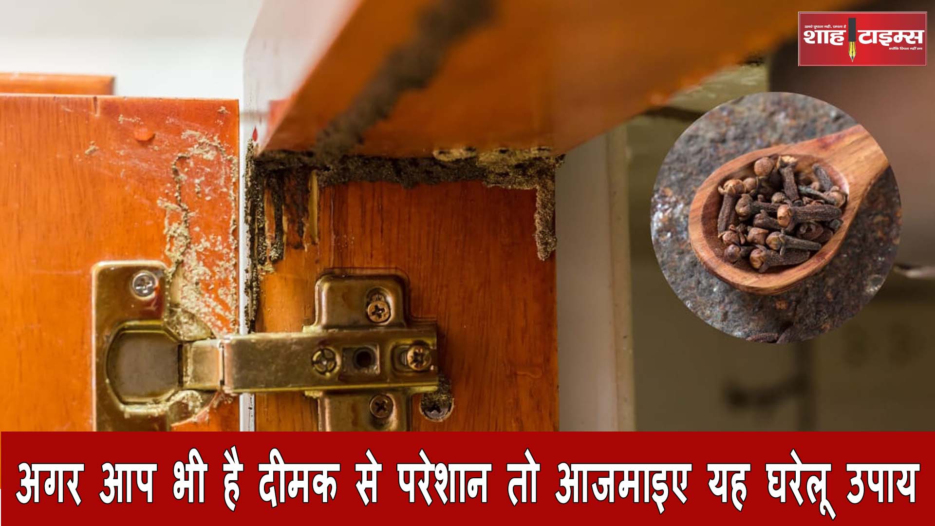 अगर आप भी है दीमक से परेशान तो आजमाइए यह घरेलू उपाय