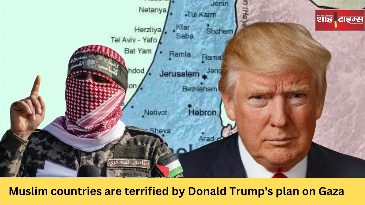 Muslim countries are terrified by Donald Trump's plan on Gaza_20250127_224454_0000