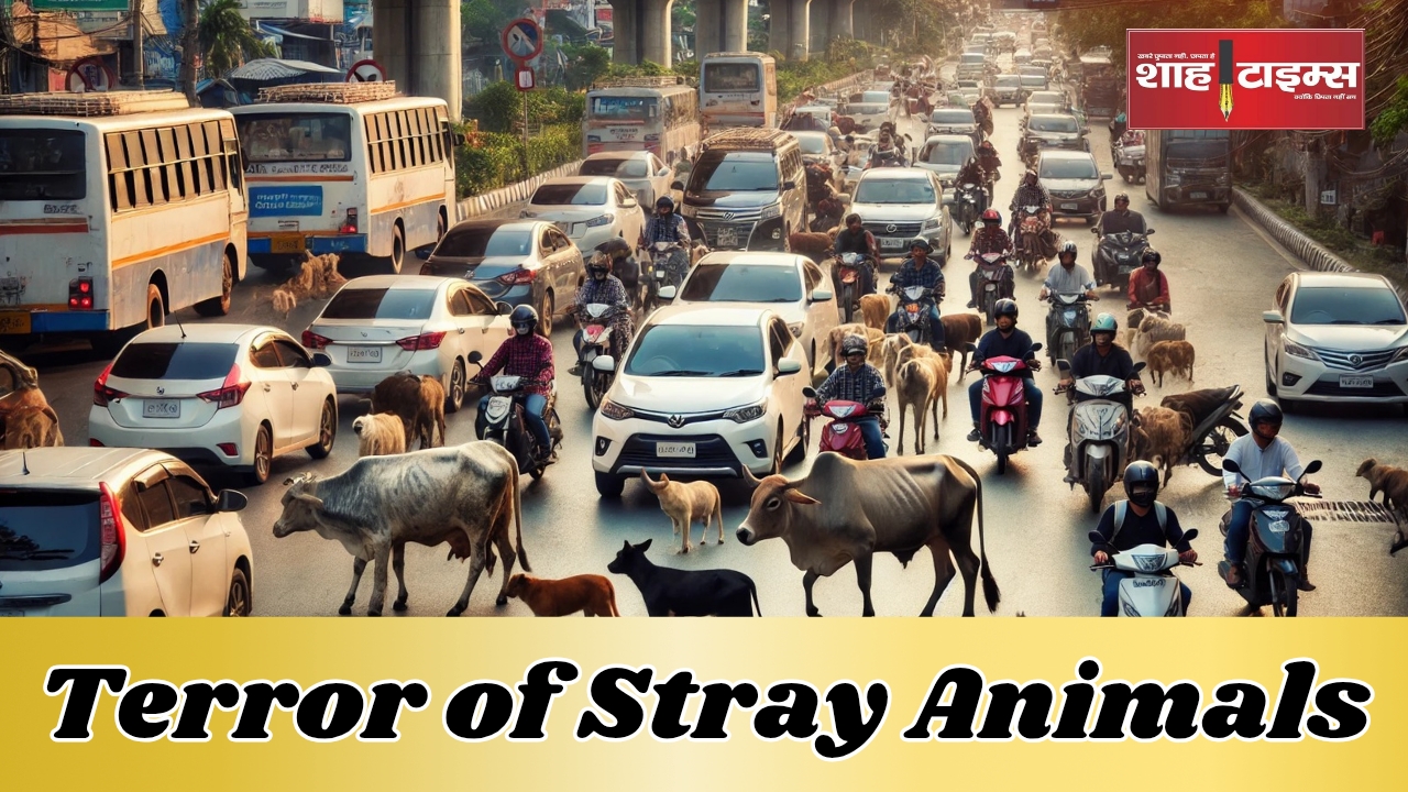 Terror of stray animals_ Increasing trouble on the roads_20250129_105706_0000