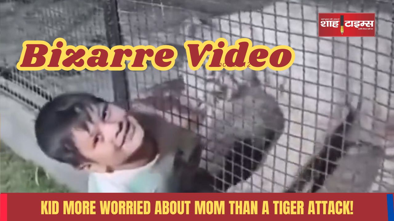 Bizarre Video_20250211_214556_0000