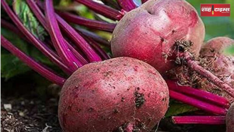 Los Angeles forest fire caused loss of $164 billion (52)