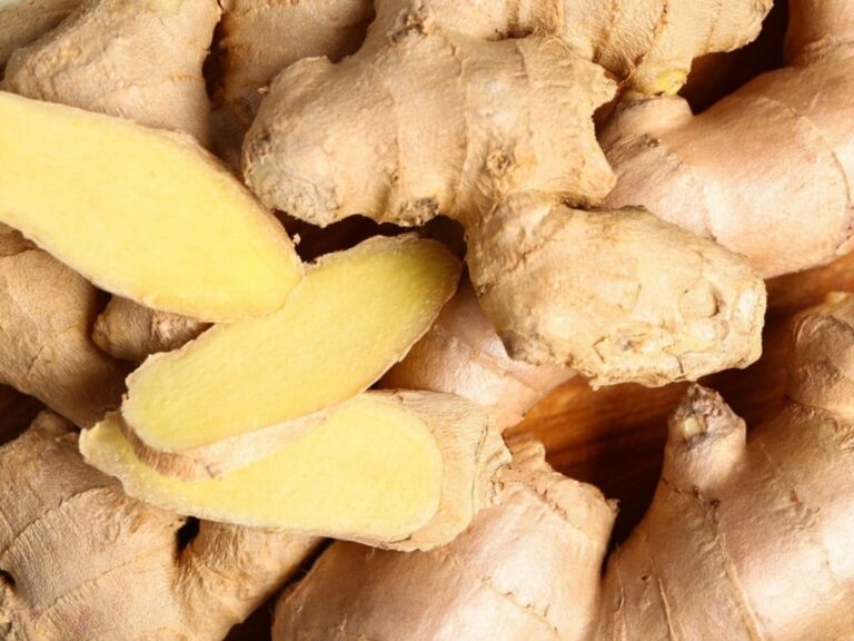 Ginger_Thumbnail_1731862739234_1731862783162