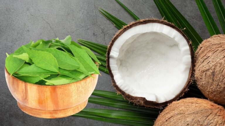 WhatsApp Image 2025-03-20 at 18.32.58 (8)