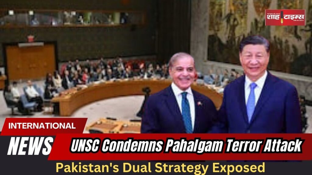 Pakistan's Dual Strategy Exposed_20250427_102202_0000