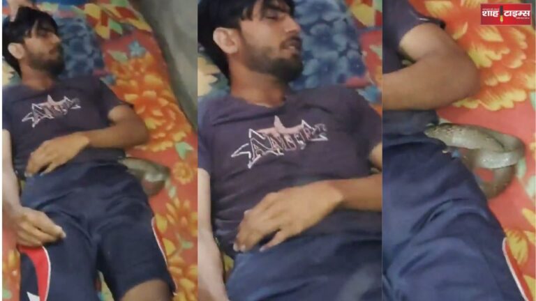 Murderous wife and poisonous snake in Meerut: Muskaan murder also bypassed