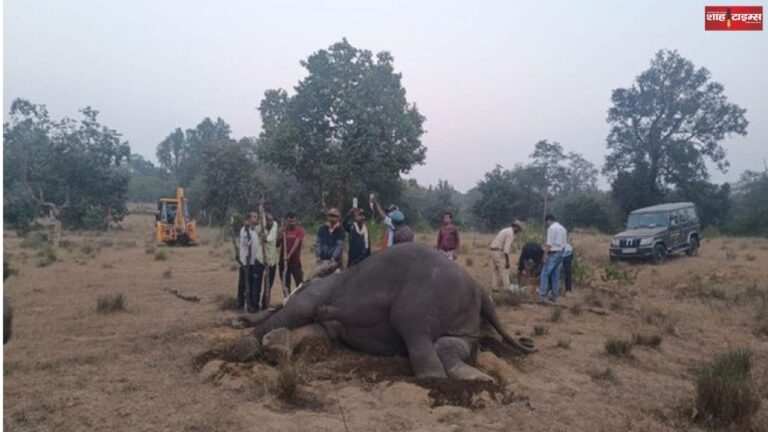 10 elephants died in Bandhavgarh, 20 IFS officers transferred, two suspended