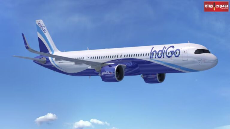 From borrowing to flying: IndiGo becomes the world's number 1 airline