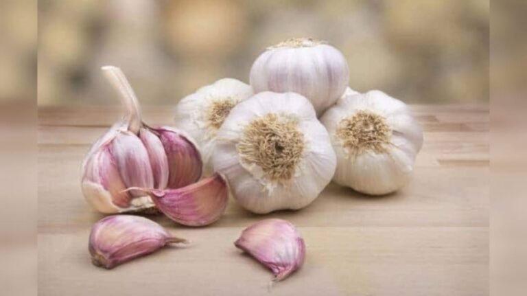 WhatsApp Image 2025-04-19 at 9.45.43 PM