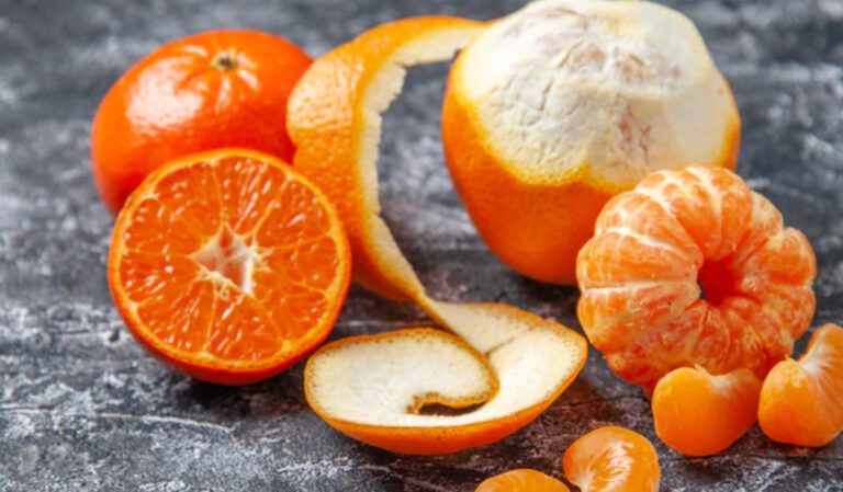 collage-maker-03-dec-2022-06-1670073354