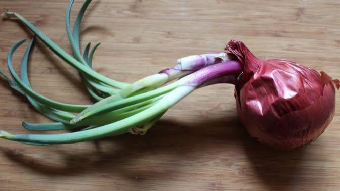 WhatsApp Image 2025-05-04 at 6.22.08 PM