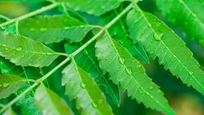 WhatsApp Image 2025-05-05 at 6.03.43 PM