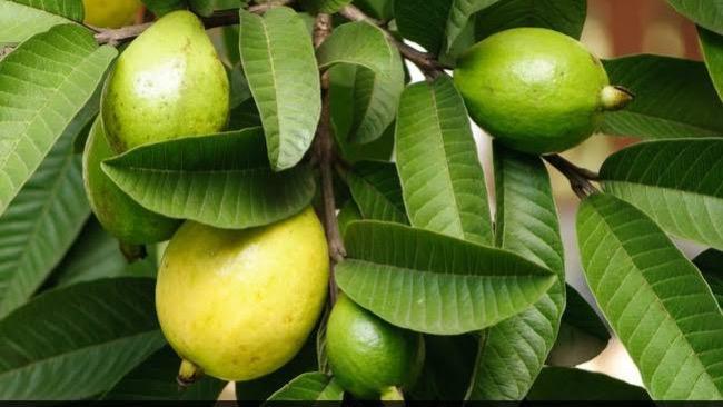 WhatsApp Image 2025-05-06 at 5.03.11 PM