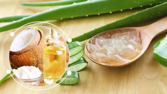 WhatsApp Image 2025-05-08 at 5.40.42 PM