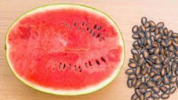 WhatsApp Image 2025-05-08 at 5.40.55 PM