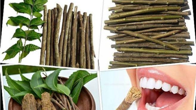 WhatsApp Image 2025-05-10 at 3.48.11 PM (1)