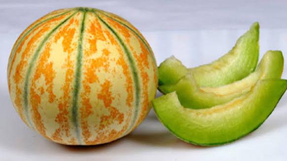 WhatsApp Image 2025-05-19 at 6.47.32 PM