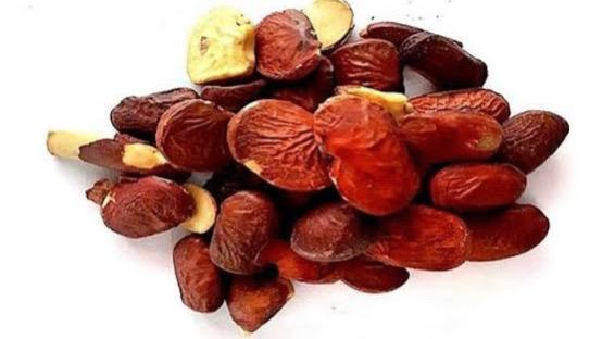 WhatsApp Image 2025-06-28 at 7.08.32 PM