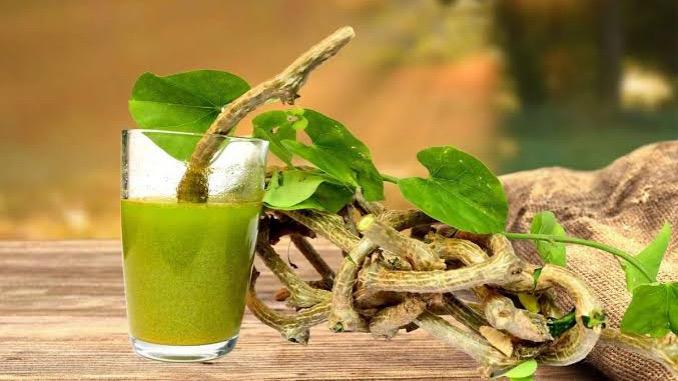 WhatsApp Image 2025-06-28 at 7.09.28 PM