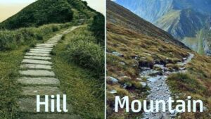 WhatsApp Image 2025-07-01 at 6.27.38 PM