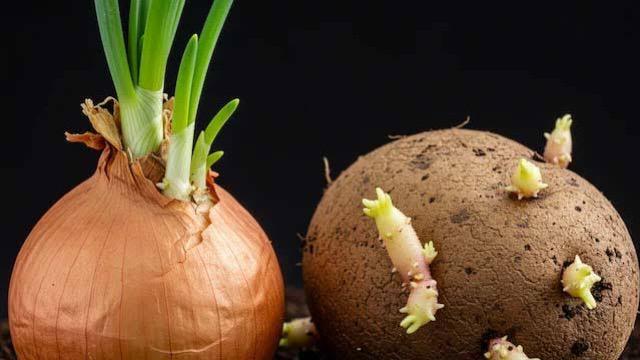 WhatsApp Image 2025-07-04 at 9.01.32 PM