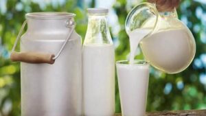 WhatsApp Image 2025-08-26 at 8.04.39 PM