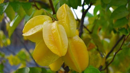 WhatsApp Image 2025-08-28 at 7.03.19 PM