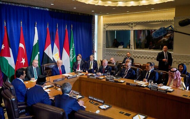 A visual representation of the Gaza Peace गाज़ा शांति योजना और मुस्लिम देशों की नई कूटनीतिक सहमति का दृश्य प्रतिनिधित्व