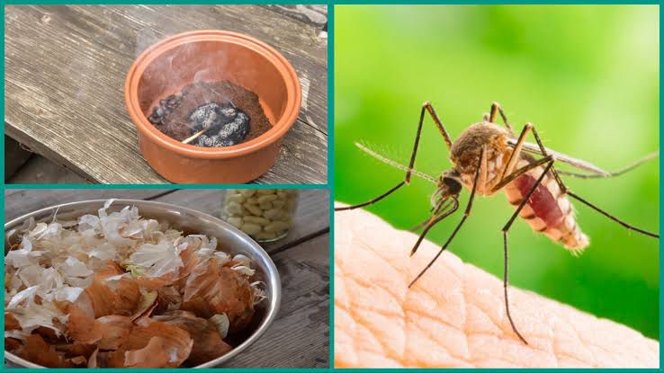 WhatsApp Image 2025-07-28 at 6.32.07 PM