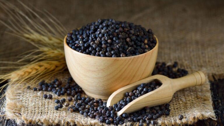 WhatsApp Image 2025-09-14 at 6.38.55 PM