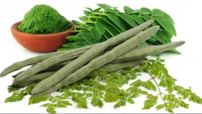 WhatsApp Image 2025-09-22 at 5.40.19 PM