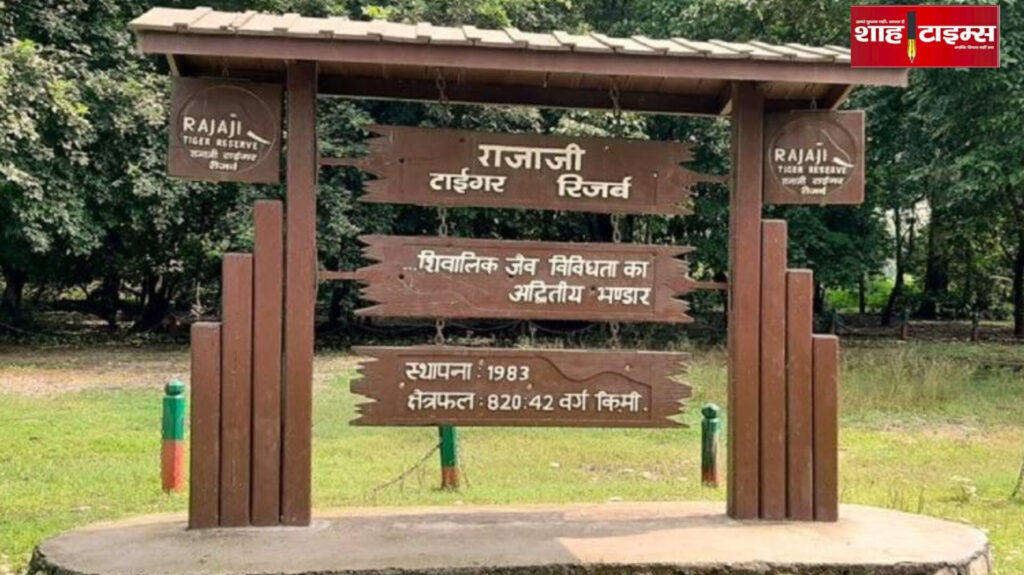 InShot_20251022_191936290