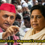 लखनऊ में मुस्लिम भाईचारा बैठक के दौरान बसपा प्रमुख मायावती का नया सियासी प्लान