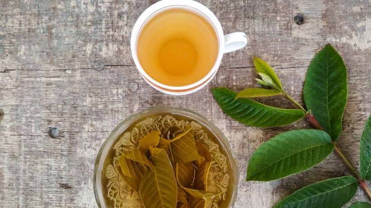 WhatsApp Image 2025-09-27 at 5.49.21 PM (1)