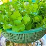 WhatsApp Image 2025-10-28 at 6.27.28 PM