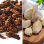 WhatsApp Image 2025-10-29 at 5.40.59 PM