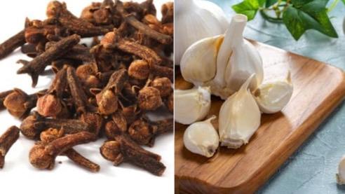 WhatsApp Image 2025-10-29 at 5.40.59 PM