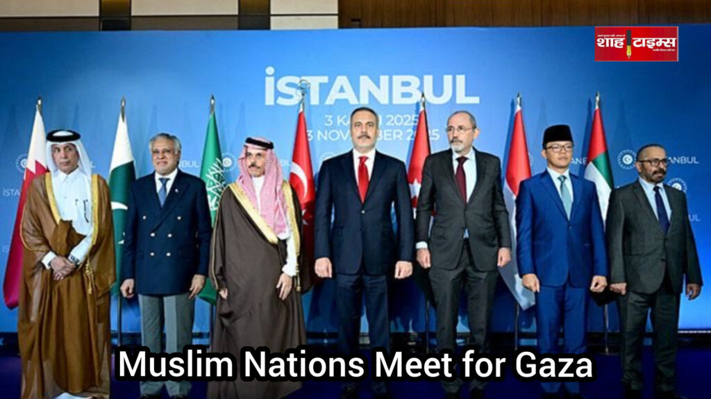 InShot_20251105_083132332