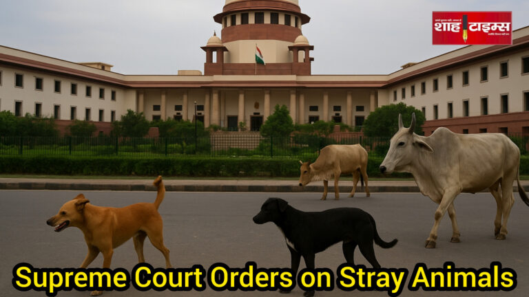 सड़क सुरक्षा, करुणा और क़ानून का संतुलन — शाह टाइम्स विश्लेषण