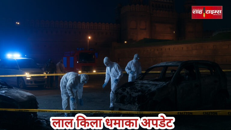 InShot_20251111_084455596