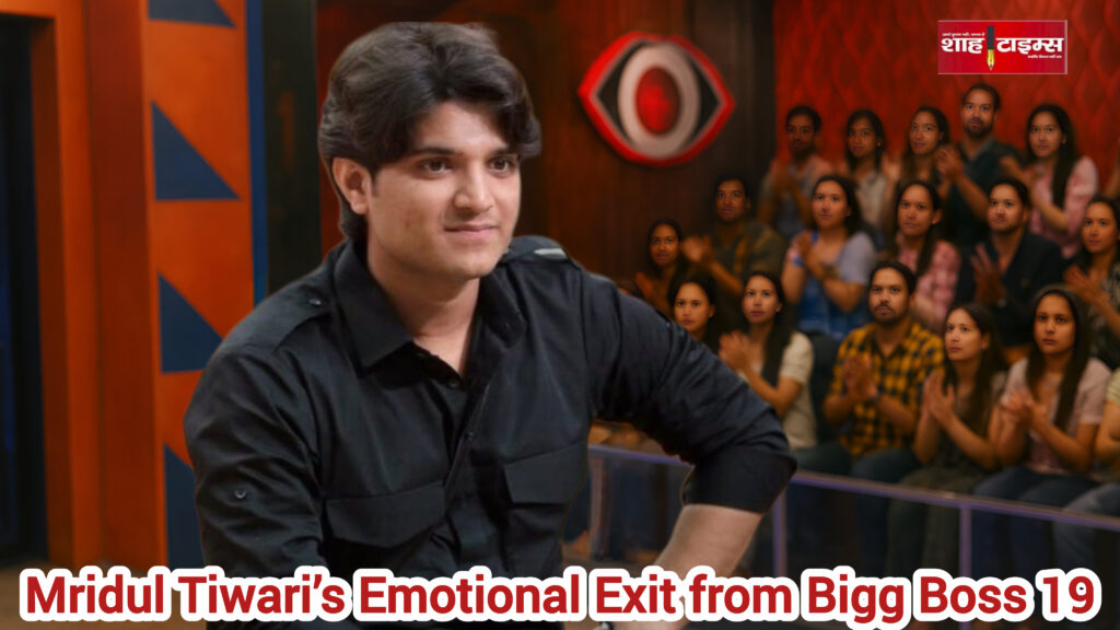 InShot_20251113_200853303