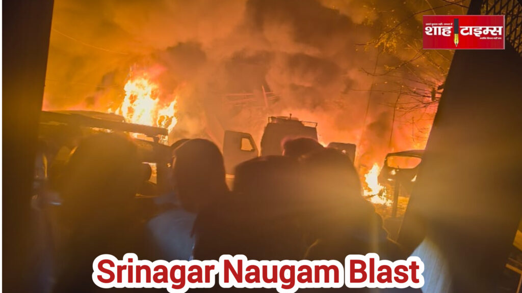 InShot_20251115_082619461