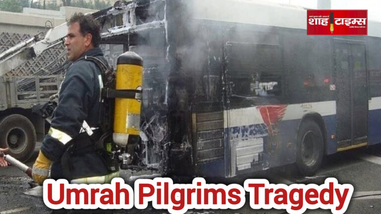 InShot_20251117_110909425