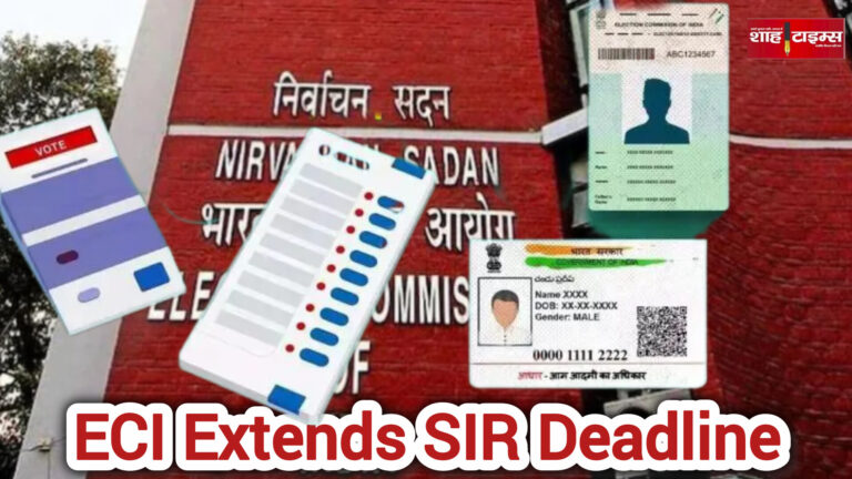 InShot_20251130_142532213