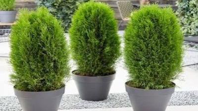 WhatsApp Image 2025-11-02 at 6.07.00 PM