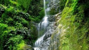 WhatsApp Image 2025-11-02 at 6.14.50 PM