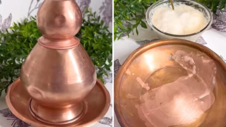 WhatsApp Image 2025-11-03 at 6.43.05 PM